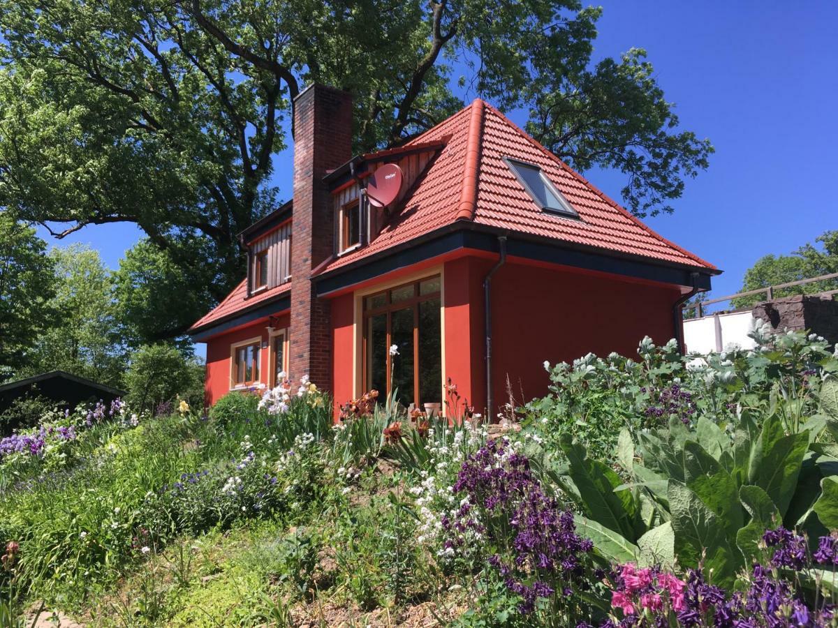 Kleine Villa Im Wilden Garten Гуммерсбах Экстерьер фото